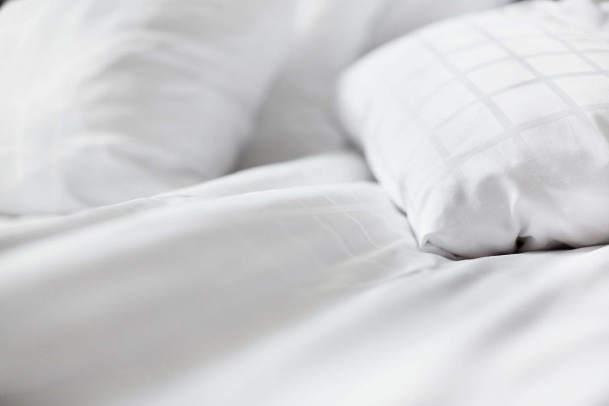 Scandic (adults Only) Hotel